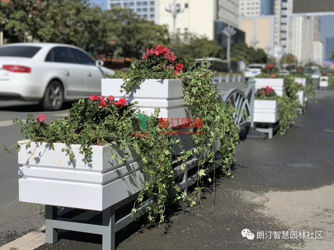 方形組合花箱用于側分帶隔離綠化