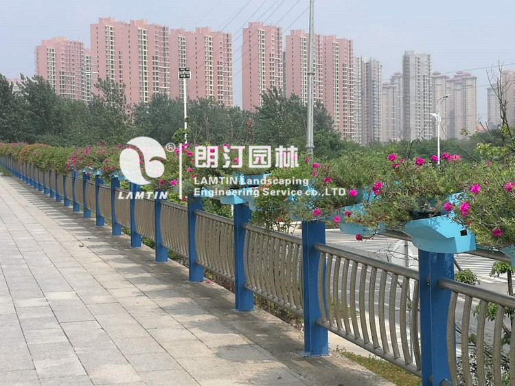 朗汀馬鞍式花盆 護欄掛花鞍馬花盆 護欄綠化服務商示例圖6