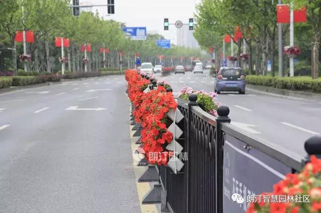 護(hù)欄綠化景觀