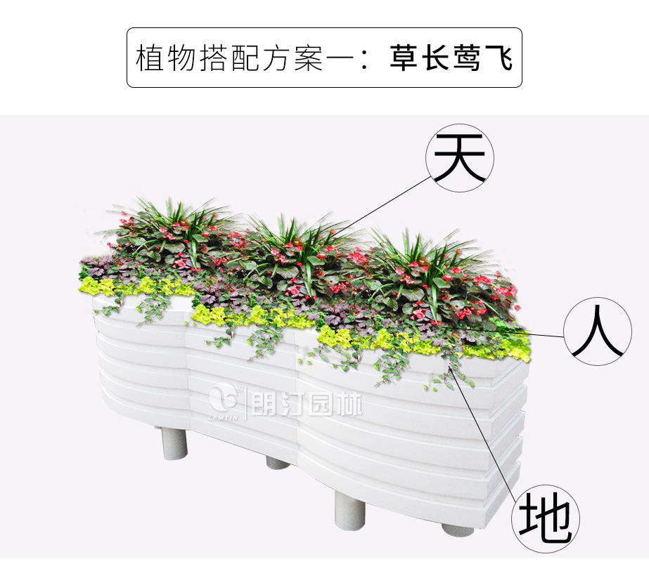 波浪藝術(shù)花箱植物搭配方案 草長鶯飛