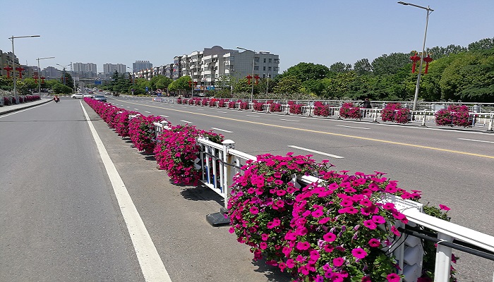朗汀園林花箱，還未來(lái)一片藍(lán)天