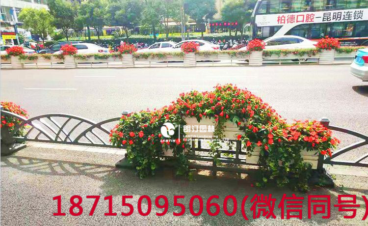 昆明北京路道路綠化，提升城市環(huán)境品質(zhì)
